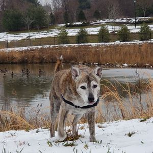 Meet your Posher, Brandy